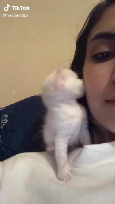 Little kitten kissing back!