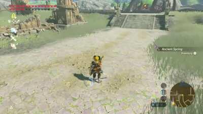 [BotW] Guardian didn't have time for my shit