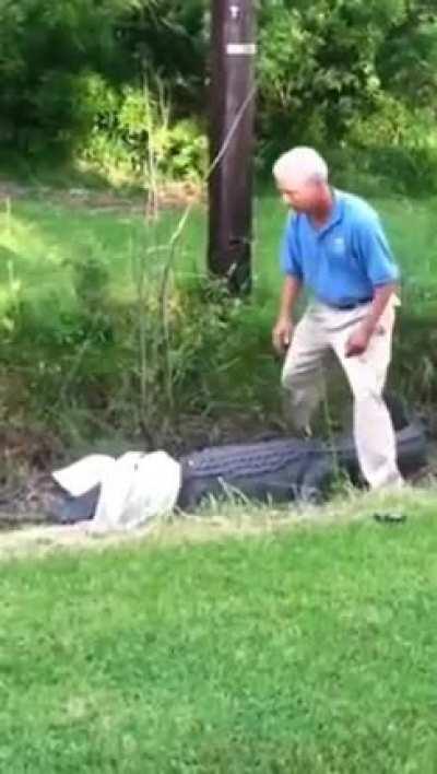 Never Mess with a Gator