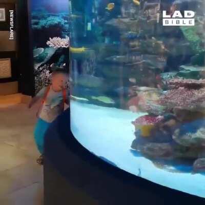 This little kid racing a fish around the tank