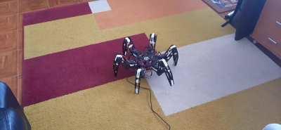 What you guys think of my hexapod? (only video)