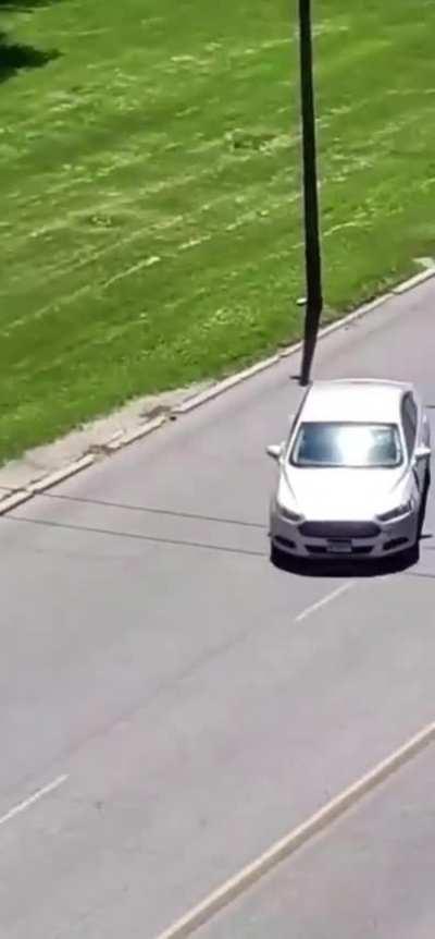 Dude throws rocks at car, instantly regrets it