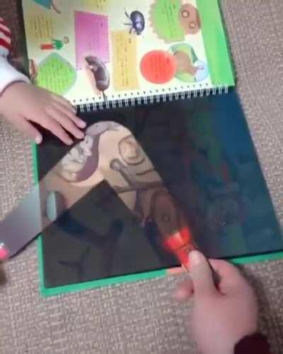 A magic torch book...