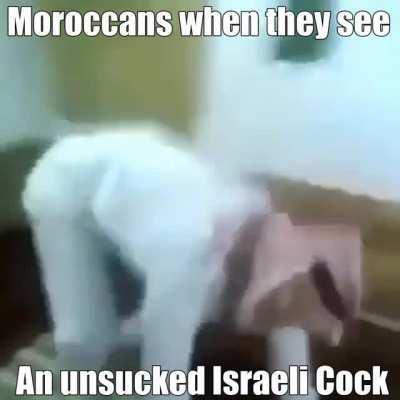 Average Moroccan