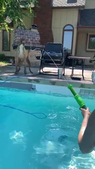 He refuses to go swimming but pull out the super soaker…