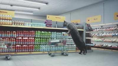 This German Supermarket Ad with Cats