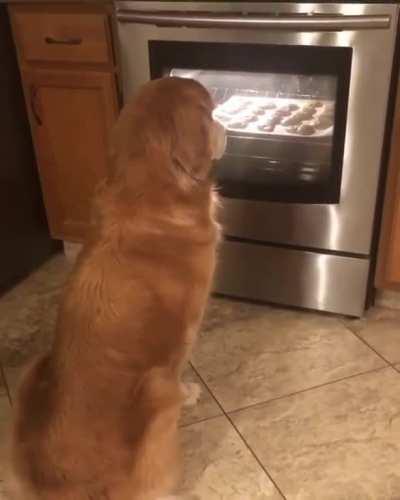 Fun fact about Carter: he watches cookies bake in the oven from start to finish.