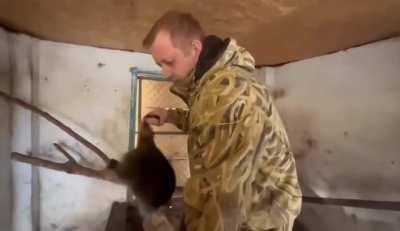 The video of Russians stealing a raccoon from the Kherson Zoo appeared.