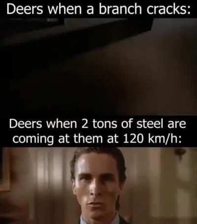 Deer be like: