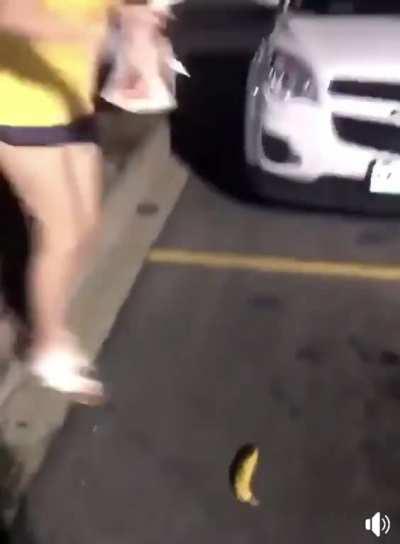 HMC while I defy the Banana Gods