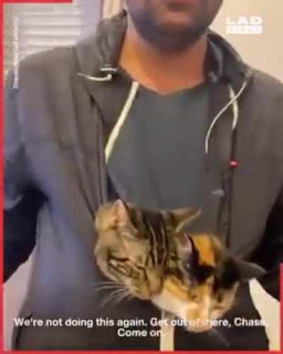 This guy is an ultimate cat dad..