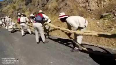 Making a bridge out of grass!