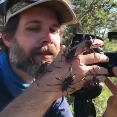 A typical day in the life of a NatGeo photographer