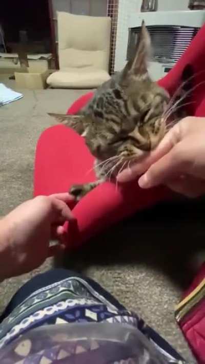 Oh yes, that's the spot!.