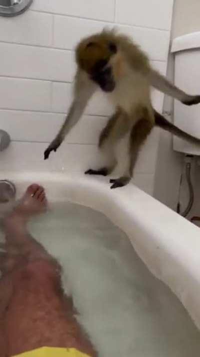 This monkey is crazy (OC)