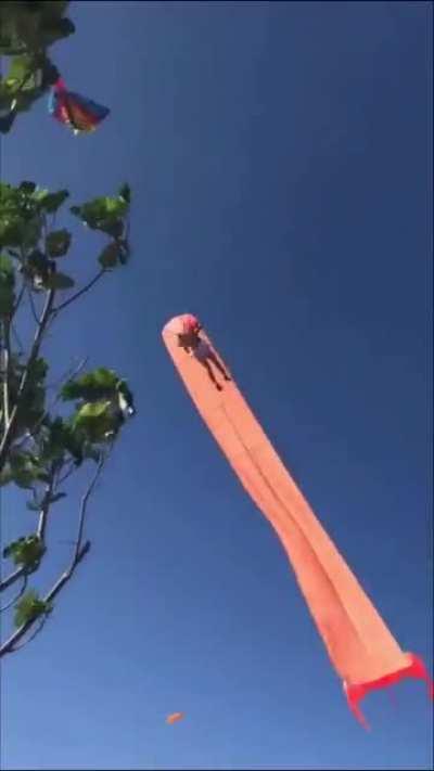 Kid being brought up into sky by a kite today in Taiwan