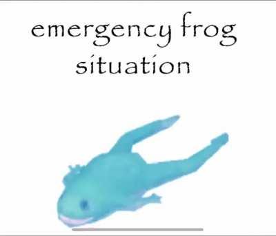 EMERGENCY FROG SITUATION 