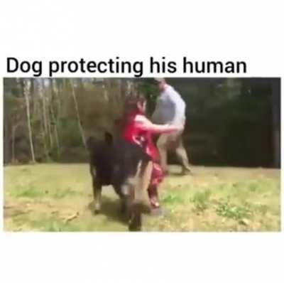 He protects