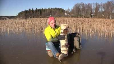 Man killed by a log