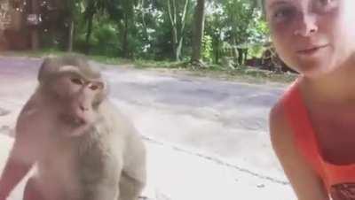 Tourist smiles at a wild monkey