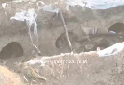 Ukrainian FPV drone sneaks up on a Russian soldier in a trench who tries to swat it away with his hands