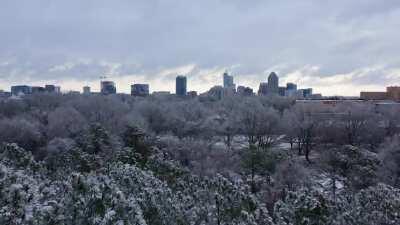 Powdered Sugar on the City of Oaks