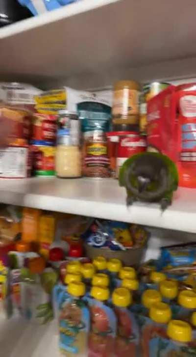 The pantry guardian