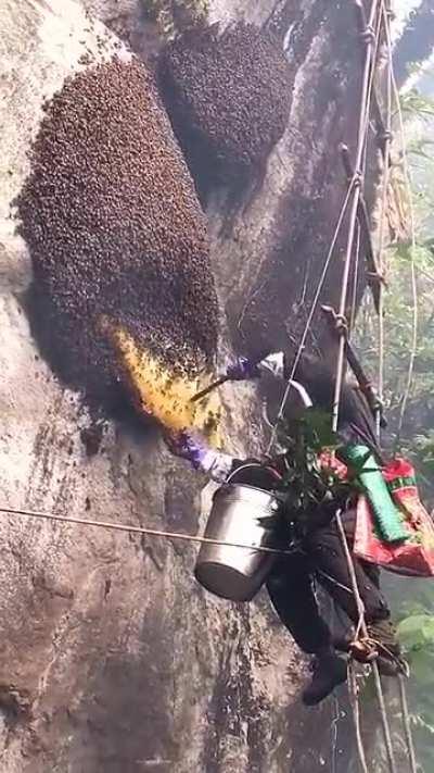 Cutting a large chunk of honey