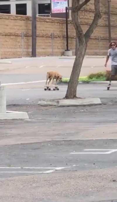 Riding with his best friend