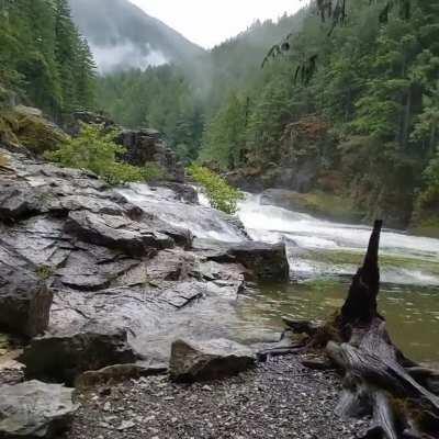 🔥 Pacific Northwest