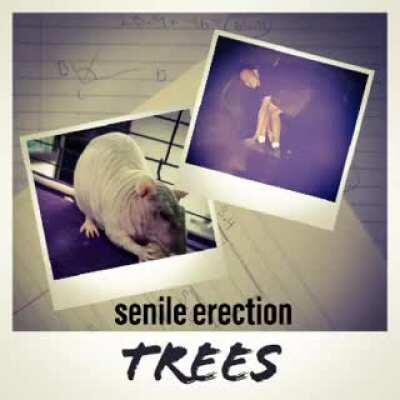 SenileErection