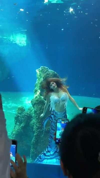 Real life mermaid in Farglory Ocean Park, Hualien, Taiwan