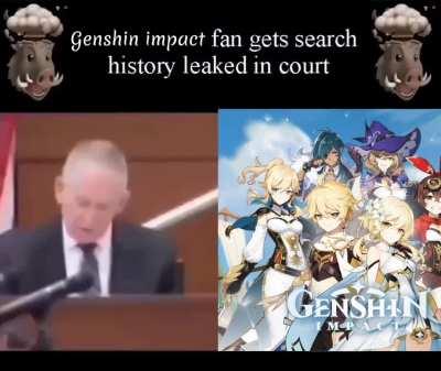 most normal genshin impact player's search history