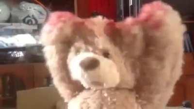 Cursed Teddy Bear