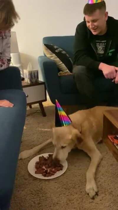 Tanner’s 15th birthday surprise - filet mignon. What a good boy!