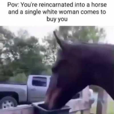 🐴