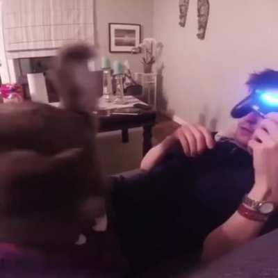 Guy recorded every arm flop his cat made over the span of a year