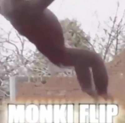 Monki Flip