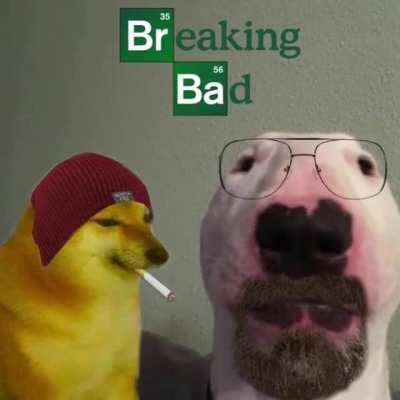 BorkinG BaD