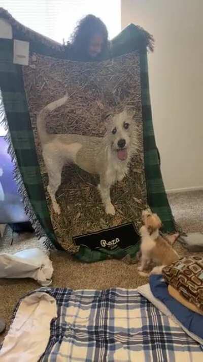 Raza likes his new blanket