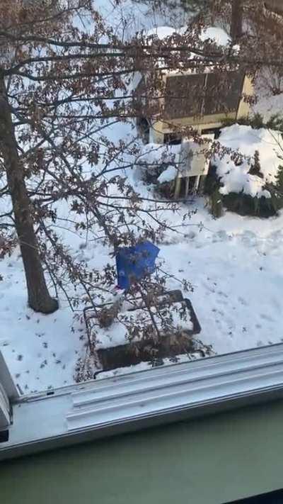 I was trying to get the bottle in the bag to get it down from the tree. I did not do that.