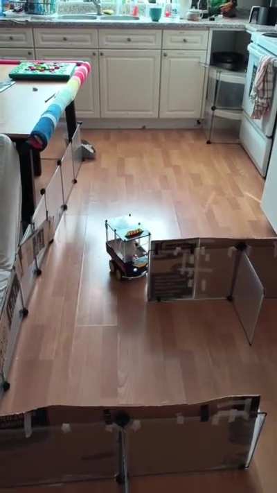 Rat navigates toy car around barriers to reach a snack