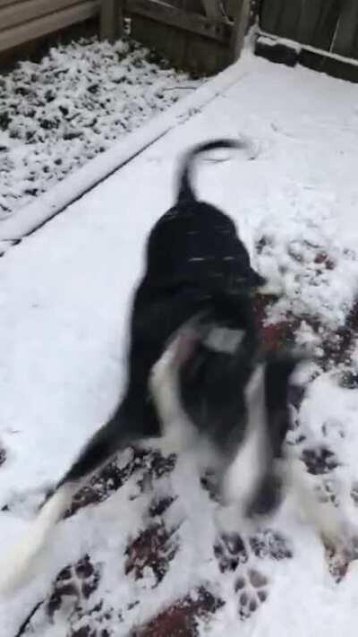 Ten yrs old and still zooming in the snow