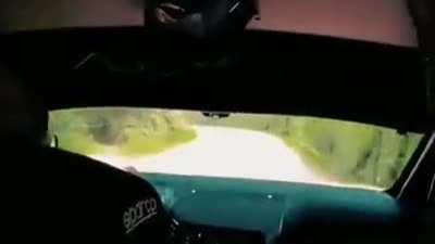 Rally driver hit a deer in middle of race