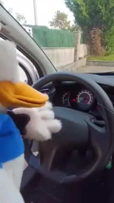 donald duck car horn