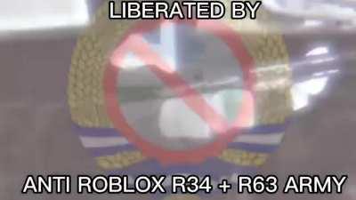 Anti ROBLOX R34 liberation