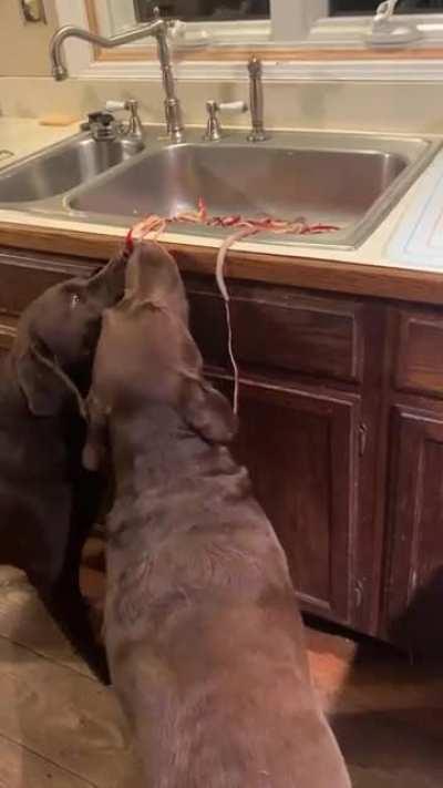 The handsome men help with pie clean up.