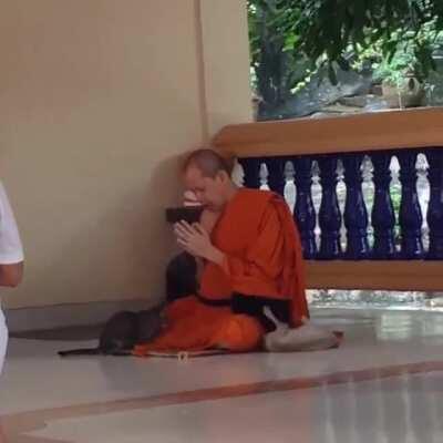 Thai Buddhist monk: I .....will.....keep..... praying....