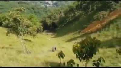 WCGW rolling down this path in a huge tire right next to a very steep mountainous decline