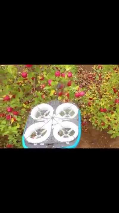 Robotic Apple Harvester